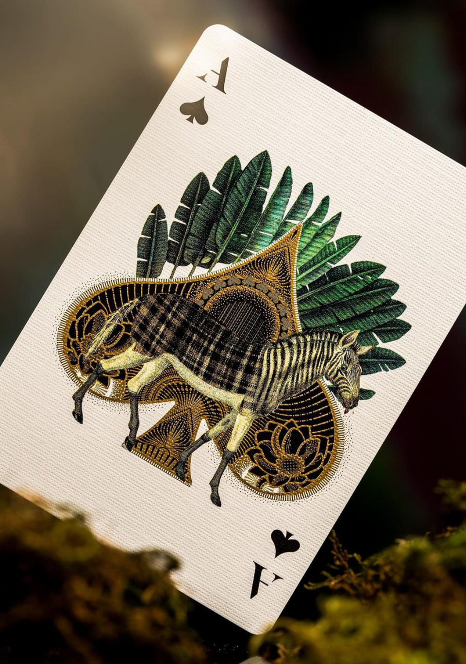 EXTINCT ANIMALS theory11 playing cards cardistry & magic – Paperdecks