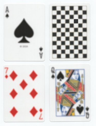 ANYONE BLUR CHECKS PLAYING CARDS