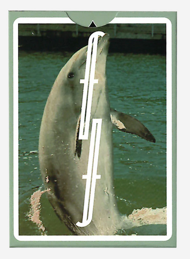 FLIPPER FONTAINE PLAYING CARDS