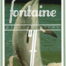 FONTAINE FLIPPER PLAYING CARDS 