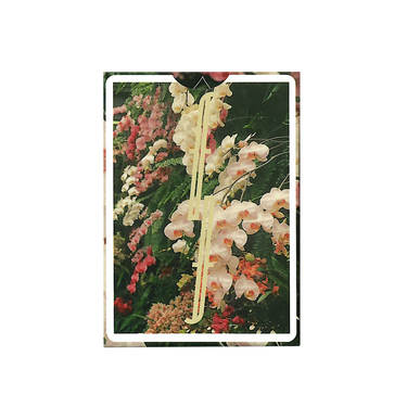 FONTAINE BOTANICAL PLAYING CARDS