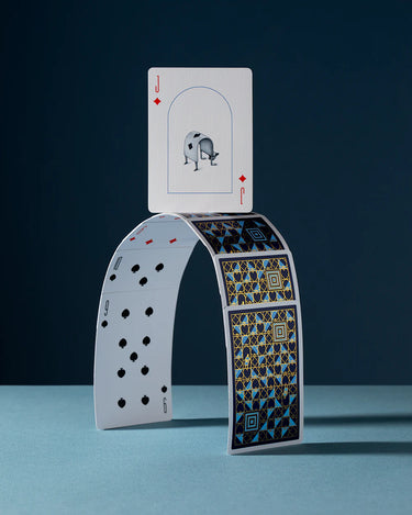 CURIOUS WONDERS PLAYING CARDS