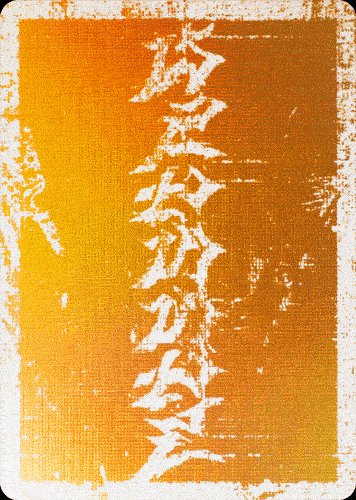 MISSING CARDISTRY PLAYING CARDS  - PHOTOPIC HOLOGRAPGIC DECK