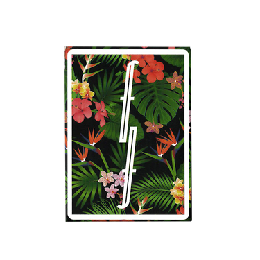 FONTAINE VACATION PLAYING CARDS